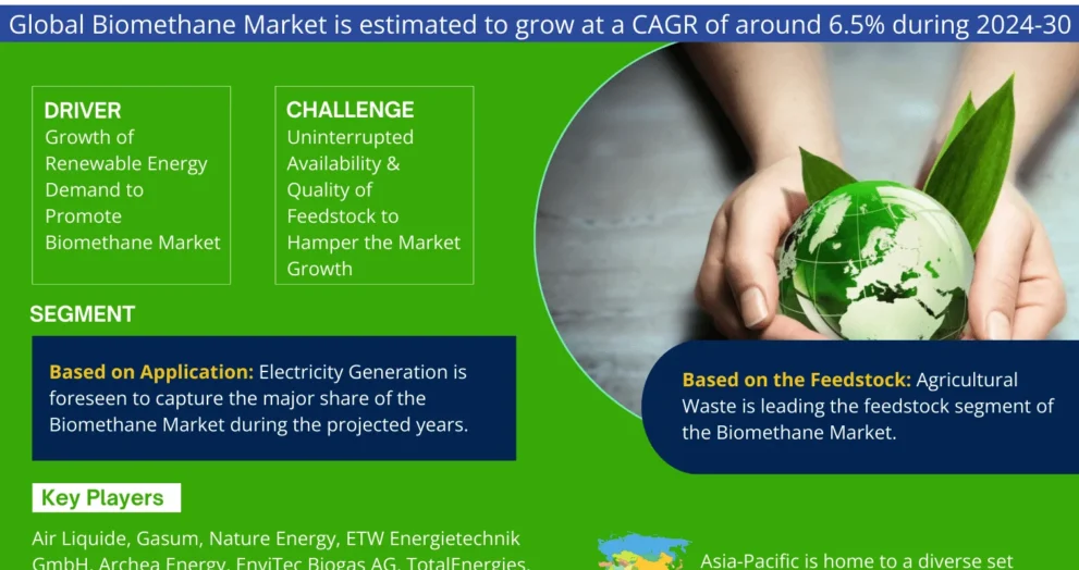 Global Biomethane Market
