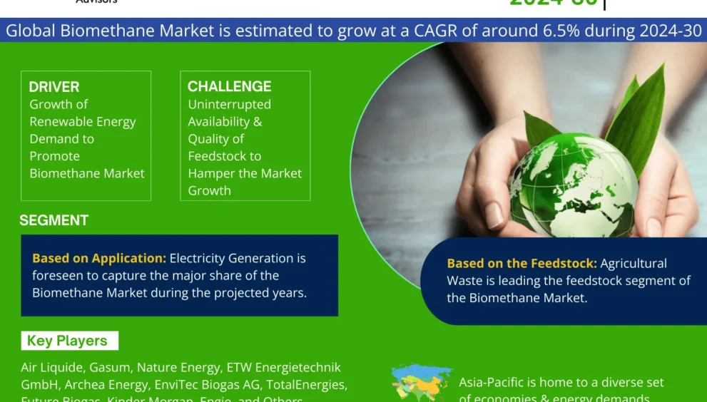 Global Biomethane Market